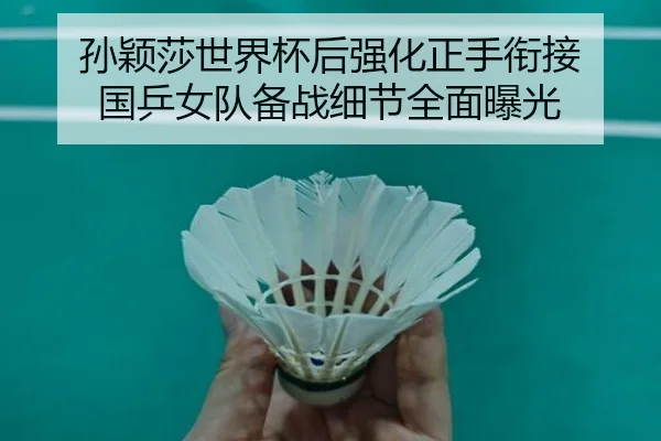 孙颖莎世界杯后强化正手衔接 国乒女队备战细节全面曝光 - WMsports
